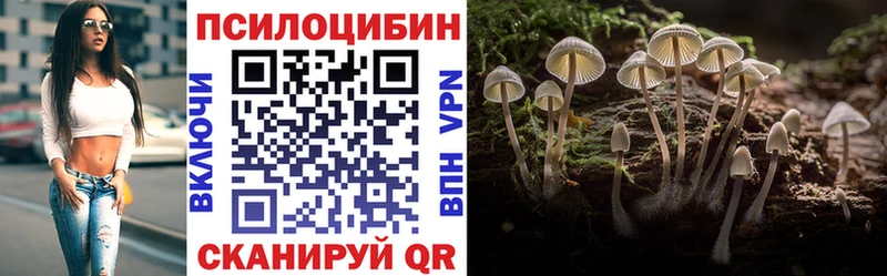 что такое наркотик Орехово-Зуево Галлюциногенные грибы Psilocybe